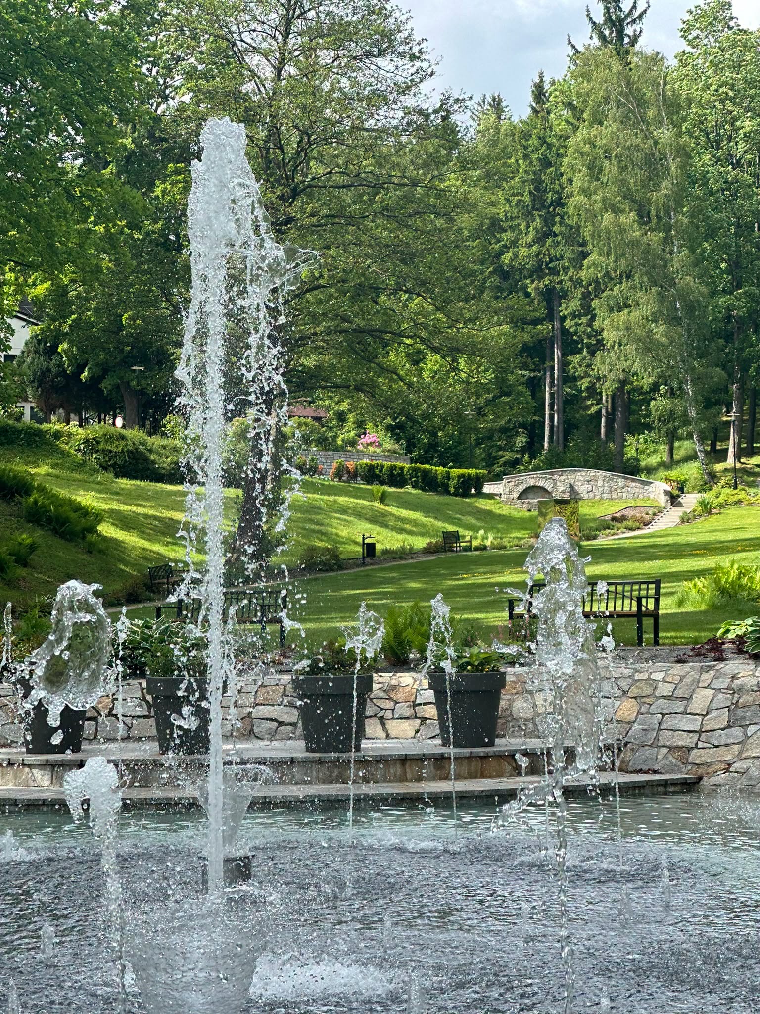 Przedstawia Park Zdrojowy z&nbsp;fontanną na&nbsp;pierwszym planie